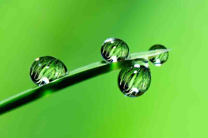 Watering for a beautiful lawn